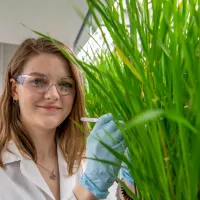 A student in lab coat and protective glasses collects a scientific sample from a large, green grass-like plant.