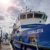 An industrial looking boat emblazoned with the name RV Callista, moored beside a wooden dock, beneath a sunny sky.
