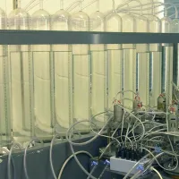 A bank of stirred digesters used to study biochemical methane potential