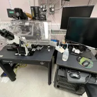 Deltavision Elite live imaging system