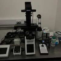 Fluorescence system