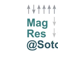 Logo of Magnetic Resonance @Soton
