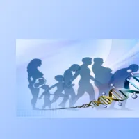 A double helix spirals across the bottom of the image. Behind it silhouettes of people portray the stages of a life from unborn child to old age.