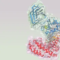 3D rendering of a a key enzyme in the pathway with ribbon-like elements in shades of blue, yellow, orange, and red