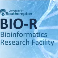 Bioinformatics Research Facility logo