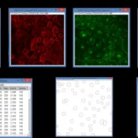 a conceptualization of the process of image analysis